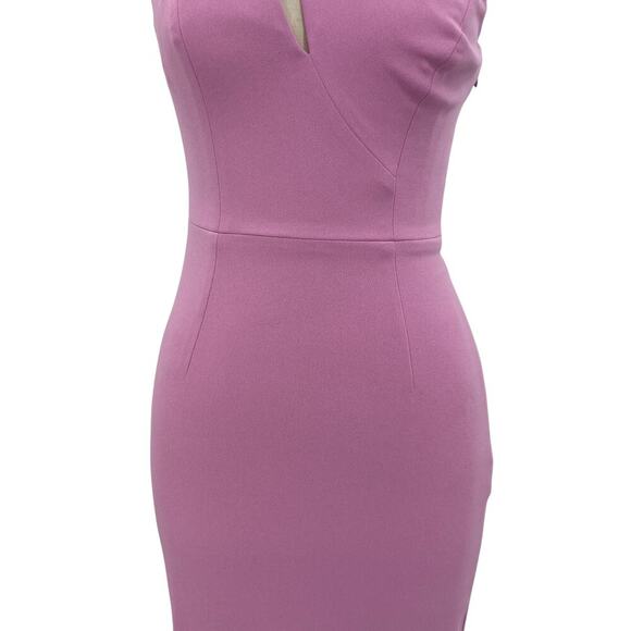 Dress‎ the Population Eliseo Dress Lavender Bodycon Sheath Size XS - Picture 5 of 16